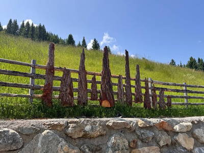 Bild 125 aus  Wallneralm