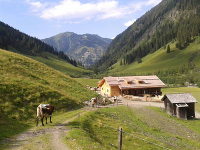 Bild 41 aus  Chalet Gretchenruhe