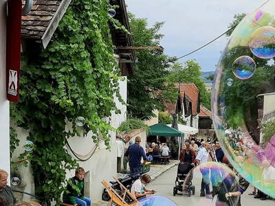 Bild 27 aus  Ferienhaus Weinviertel