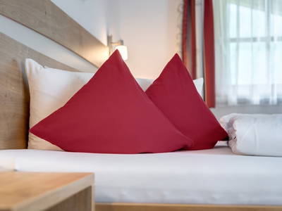 Bild 210 aus  Bio Bauernhof Tobhartbauer