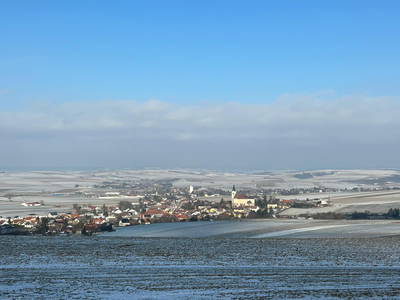 Bild 212 aus  Traubengarten Winkler