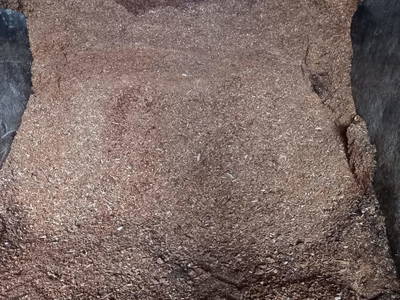 Bild 90 aus  Hoferpeter