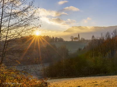 Bild 44 aus  Fuchsbauernhof