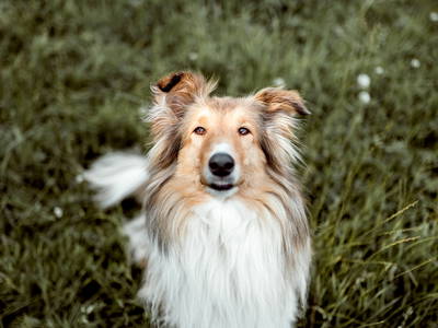 Bild 24 aus  Okelmann's - Eco Hotel & Apartement mitten im Norden