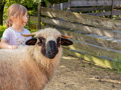 Bild 10 aus  Fuchshof