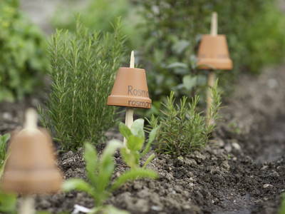 Bild 32 aus  BIO Bergbauernhof Inner-Glieshof