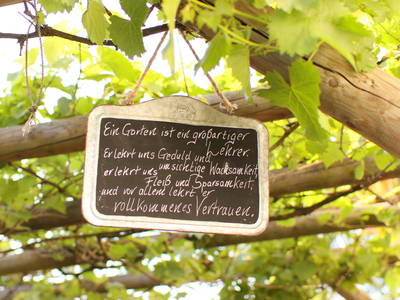 Bild 52 aus  Heumanns Blockhäuser am Wald