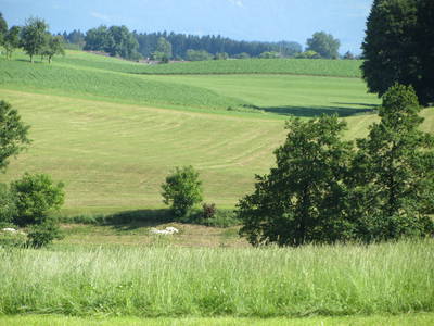 Bild 27 aus  Frankhof