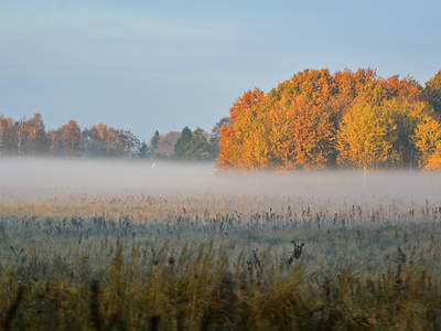 Bild 8 aus  Pieverstorf 2