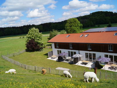 Bild 8 aus  Ferienhof Grünsink