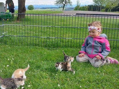 Bild 37 aus  Allgäu Bergferienhof