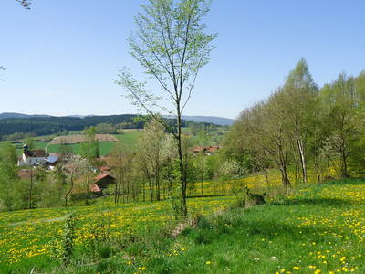 Bild 18 aus  Hütten und Ferienwohnungen im Bayerischen Wald ,  Nähe Arber u. Nationalpark Bayerischer Wald