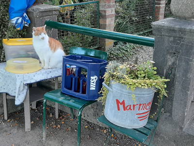 Moritz wartet auf Kundschaft