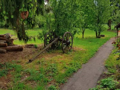 Bild 8 aus  Uttas Lodge