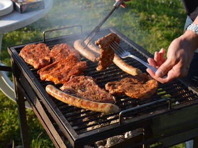 Bild 8 aus  Ferienhof Peter -  Ponys - streicheln, striegeln, füttern  -  Wattwanderungen + ganz viel Nordsee