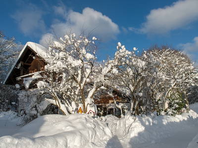 Bild 34 aus  Grashöfle