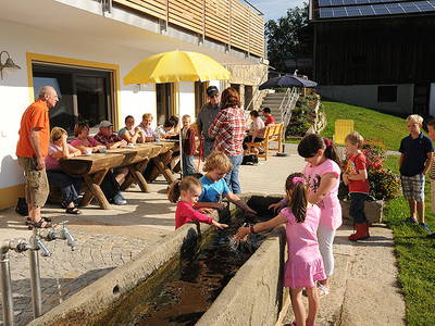 Bild 3 aus  Exenbacher Hof