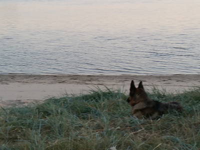 Bild 33 aus  Ferienwohnungen Harriersand direkt an der Weser