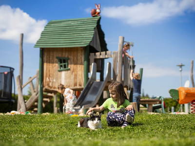 Bild 74 aus  LandSelection Ferienhof Zur Hasenkammer