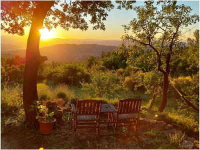 Bild 13 aus  Ferienhaus Casa Viola