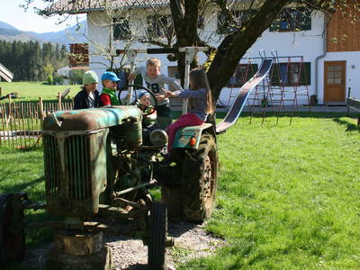 Bild 10 aus  Geigerhof