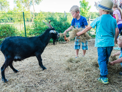 Bild 17 aus  Bauernhof Härtel