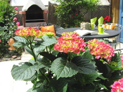 Bild 20 aus  Franzen Hof  Koch