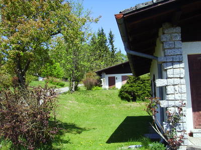 Bild 4 aus  Ferienhaus Pfifferlingstiel
