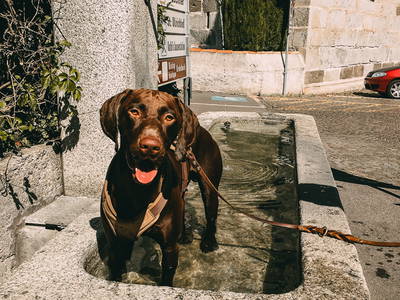 Bild 32 aus  Hotel im Tiefenbrunn