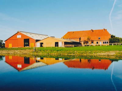 Bild 9 aus  Ferienhof  Wendt