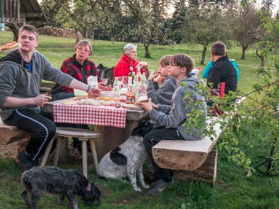 Bild 15 aus  BioFerienhof Höfler