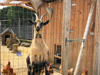 Bild 15 aus  Uetzenhof