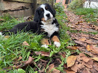 Bild 11 aus  Ferienhof Käsrah