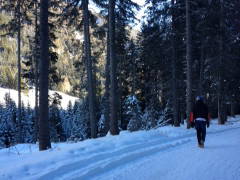 Bild 25 aus  Untersieglerhof