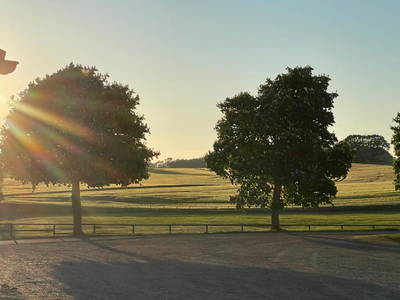 Bild 13 aus  Sprengerhof