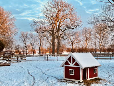 Bild 25 aus  Ferienhof Presener Deichkrone