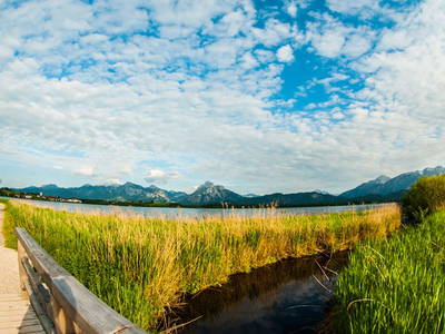 Bild 30 aus  Allgäu Moni