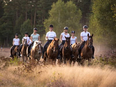 Bild 4 aus  Reiter- und Ferienhof Cohrs