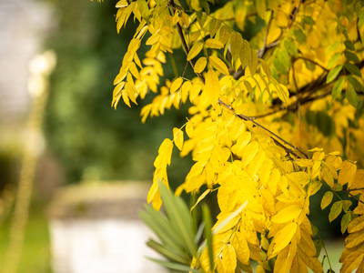 Bild 51 aus  Gut Neuwerk