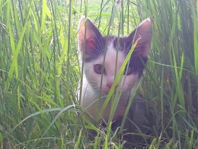 Bild 9 aus  Küstenhof Oldewurtel