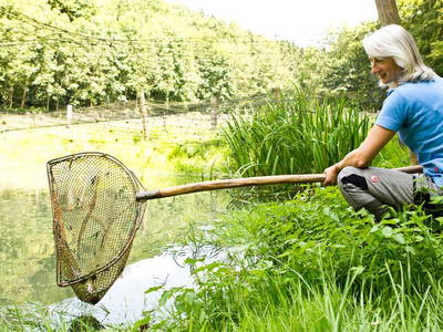 Bild 29 aus  Hollweck's Landoase