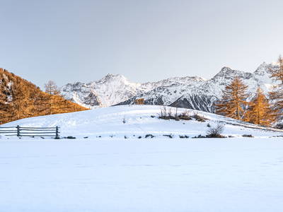 Bild 4 aus  Maraias Luxury Suites & Apartments