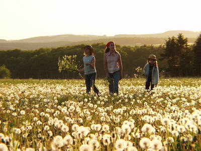 Bild 58 aus  LandSelection Grieshof