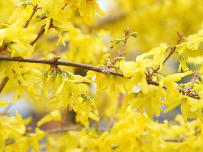 Bild 16 aus  Haus Sonnengruß