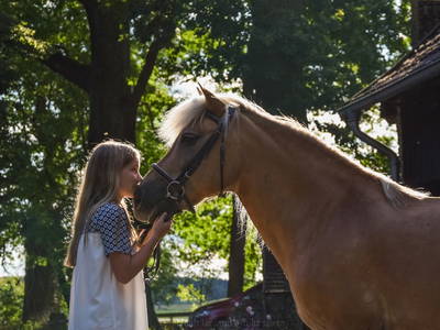 Bild 3 aus  Rumlerhof