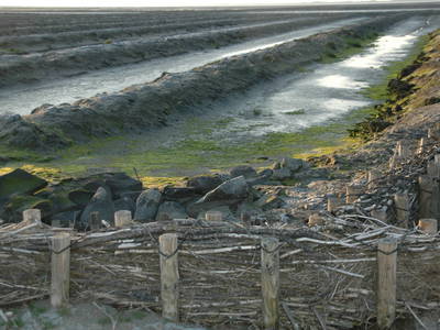 Landgewinnung in der Husumer Bucht