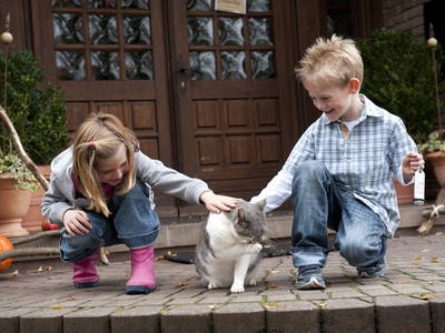 Bild 17 aus  Landhotel-Ferienhof Schneider