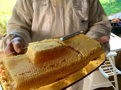 Bild 52 aus  Le Colombié - Ferienhäuser an der Dordogne mieten