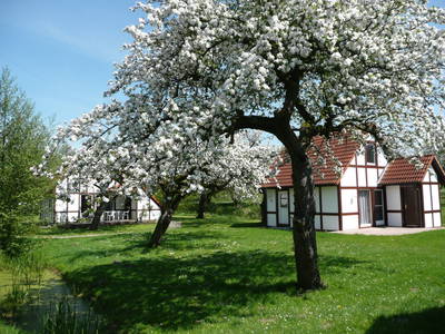 Bild 39 aus  Feriendorf Altes Land Verwaltungsgesellschaft mbH