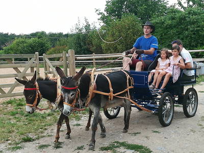 Bild 4 aus  Freizeit- und Ferienreiterhof Odenwald